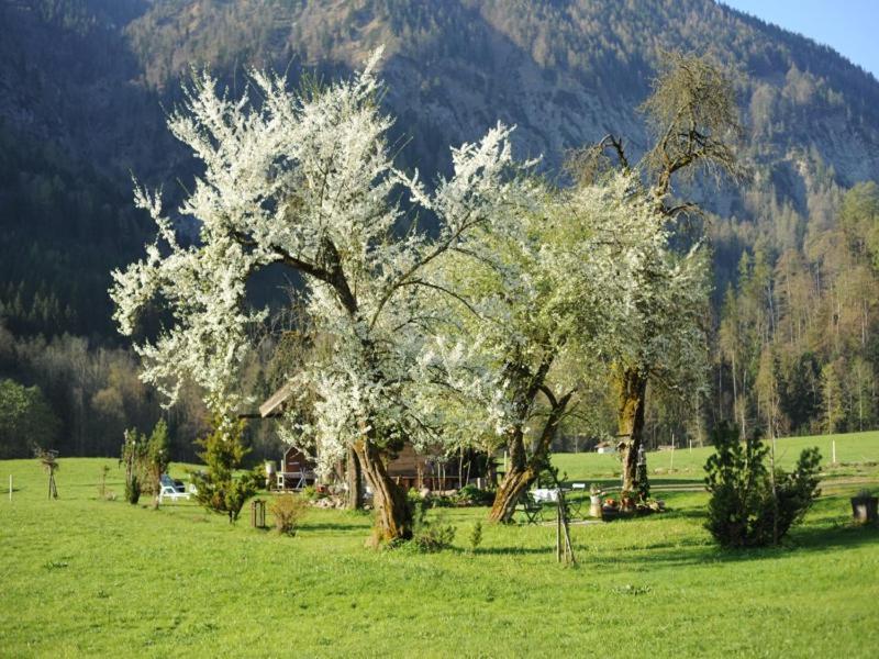 Hansenbauernhof Inkl. Chiemgaukarte Ruhpolding Exterior foto